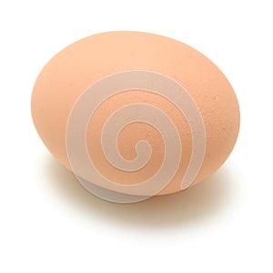 Chicken Egg