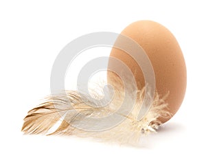 Chicken egg, feather, isolated on white.