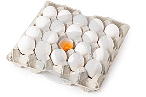 Chicken egg is half broken among other eggs