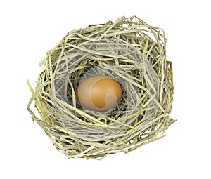 A chicken egg in hay nest on white background.