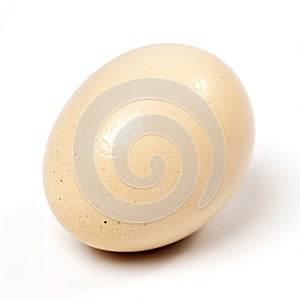 Chicken Egg isolated on white background