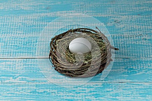 Chicken egg in a nest.