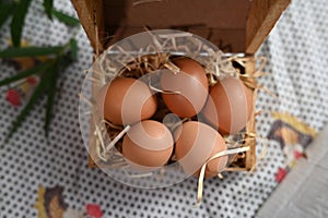 chicken egg in the nest source of protein healthy food