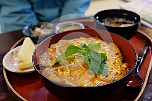 Chicken and Egg Rice Bowl named Oyakodon in Japan