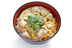 Chicken and egg on rice , japanese cuisine