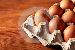 Chicken egg shot close-up in the studio