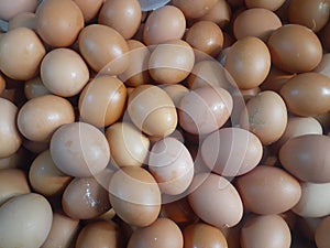 chicken egg sightings sold in the modern market