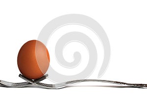 Chicken egg stands on two forks on a white isolated background.
