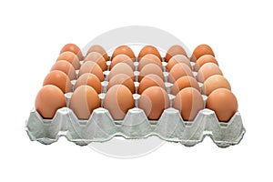 Chicken Egg Trays