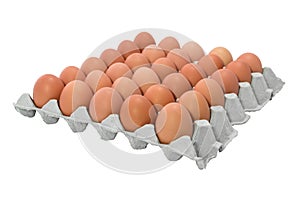 Chicken Egg Trays