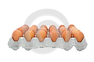 Chicken Egg Trays.