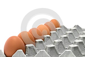 Chicken Egg Trays