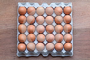Chicken Egg Trays