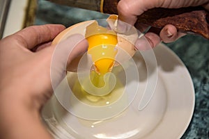 chicken egg with two yolks