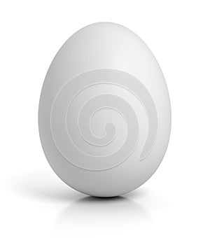 Chicken egg on white