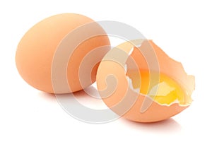 Chicken egg with yolk