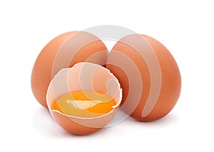 Chicken egg with yolk