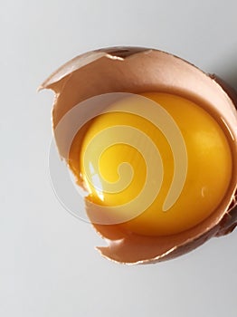 Chicken Egg Yolk