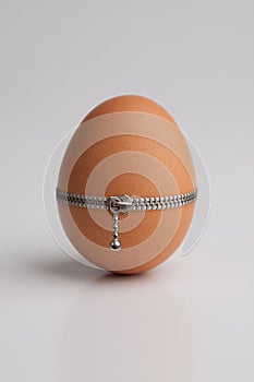 Chicken egg with zipper