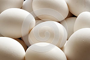 Vajcia 