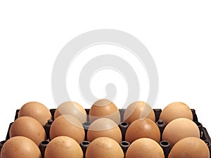 Chicken Eggs