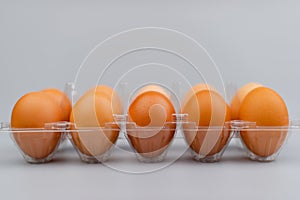 chicken eggs, animal eggs, high protein food, breakfast, egg photography in studio