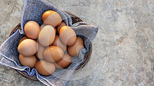 Chicken eggs in a basket on a gray background