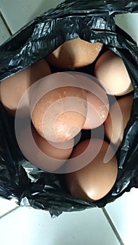 Chicken eggs in a black crackle bag on a white background