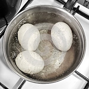 Chicken eggs in boiling water