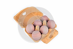 Chicken eggs in box on white background