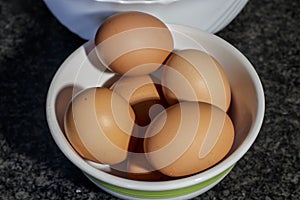 Chicken eggs with brown eggshell