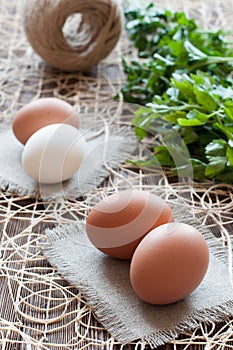 Chicken eggs, bunch of parsley and twine