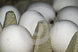 Chicken eggs in a cardboard box. Close up