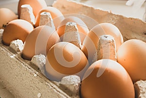 Chicken eggs in cardboard box. Fresh yellow eggs in sunlight. Healthy organic food. Raw brown eggs in container.