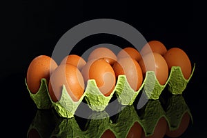 Chicken eggs in a cardboard container for the storage and transportation of chicken eggs isolated on black background