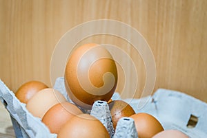 Chicken eggs in cardboard packing