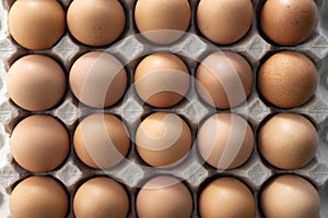 Chicken eggs in carton box,close up