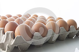 Chicken eggs in carton box with copy space