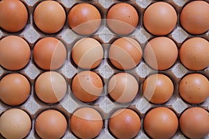 Chicken eggs in carton egg box
