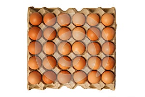 Chicken Eggs in carton isolated on white background with clipping path