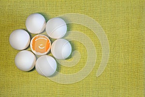 Chicken eggs in a circle as a flower in the middle of the yolk on a yellow textile background.