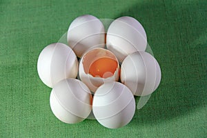 Chicken eggs in a circle in the form of a flower in the middle of the yolk on a green textile background.
