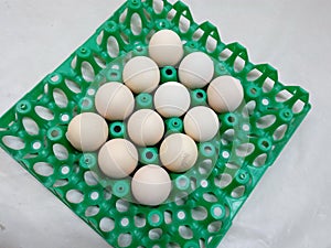 Chicken eggs in containers for transportation