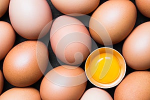 Chicken eggs and egg yolk