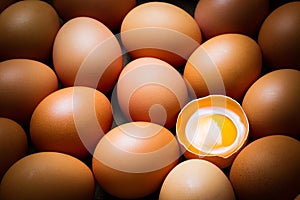 Chicken eggs and egg yolk