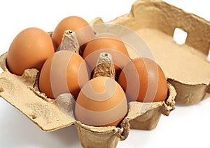 CHICKEN EGGS IN EGGBOX AGAINST WHITE BACKGROUND photo