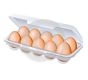 Chicken eggs in eggs box. Vector illustration.