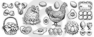 Chicken eggs and farm hen hand drawn vector. Engraved elements: nest, full basket, broken, boiled, fresh and other eggs.