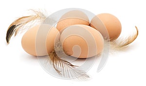 Chicken eggs, feathers, isolated.