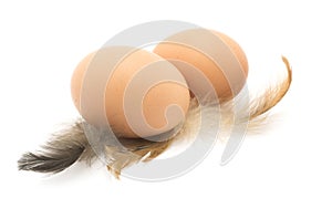 Chicken eggs, feathers, isolated on white.